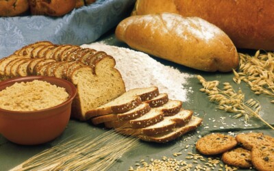 You’ve been challenged | whole grains and heart health – part 2