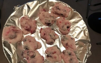 3-Ingredient FroYo Fruit Bites