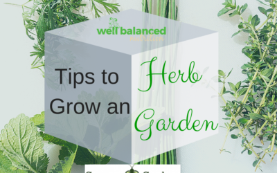 Want More Flavor? Read These Tips To Grow an Herb Garden