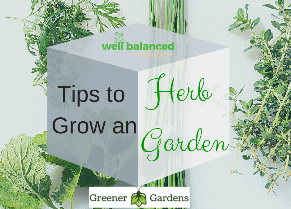 Want More Flavor? Read These Tips To Grow an Herb Garden
