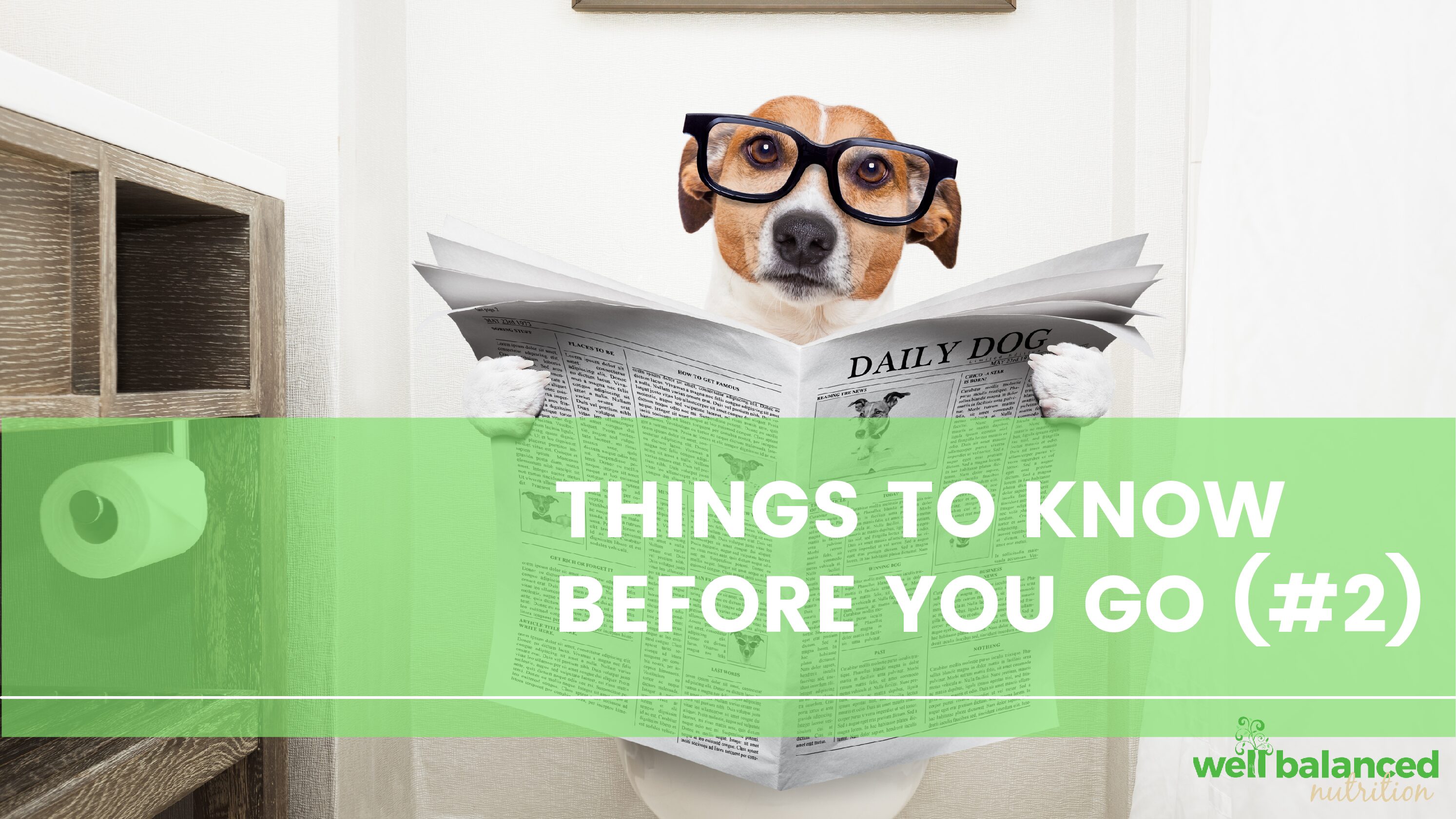 Things to Know Before You Go (#2)