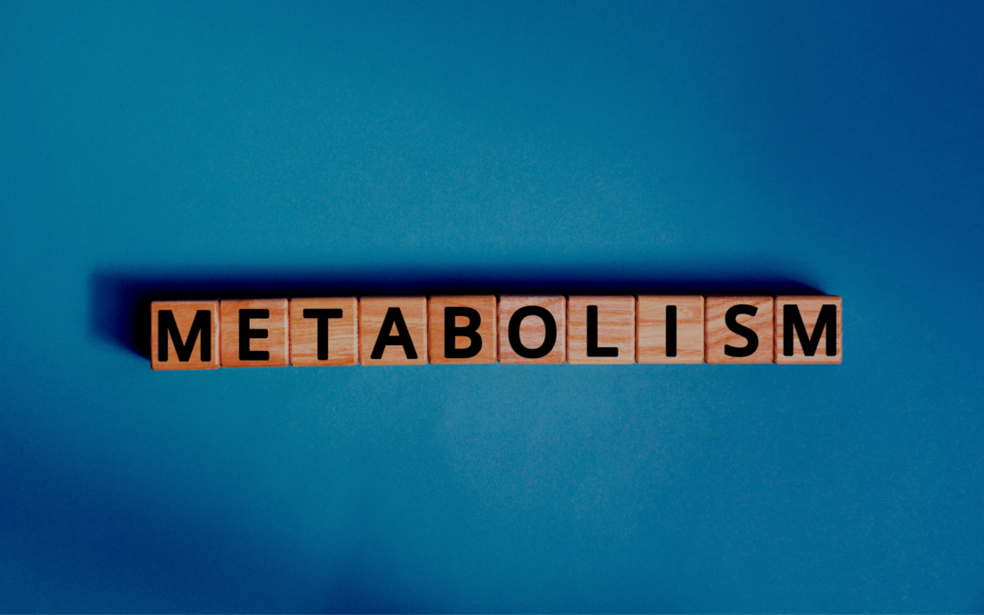 Understanding Your Metabolism