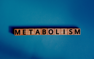 Understanding Your Metabolism