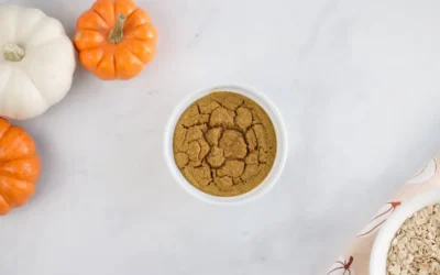Pumpkin Spice Blender Oats