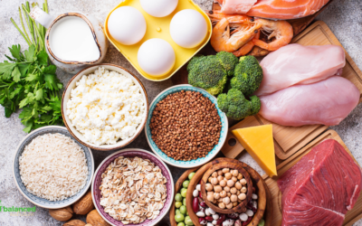 Why Everyone Is Talking About Protein and What You Need to Know