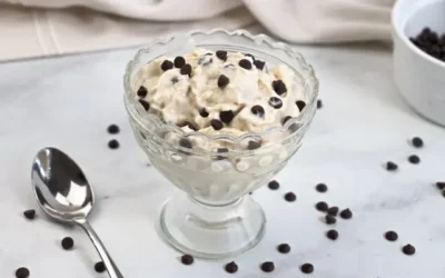 Peanut Butter Chip Ice Cream with Cottage Cheese